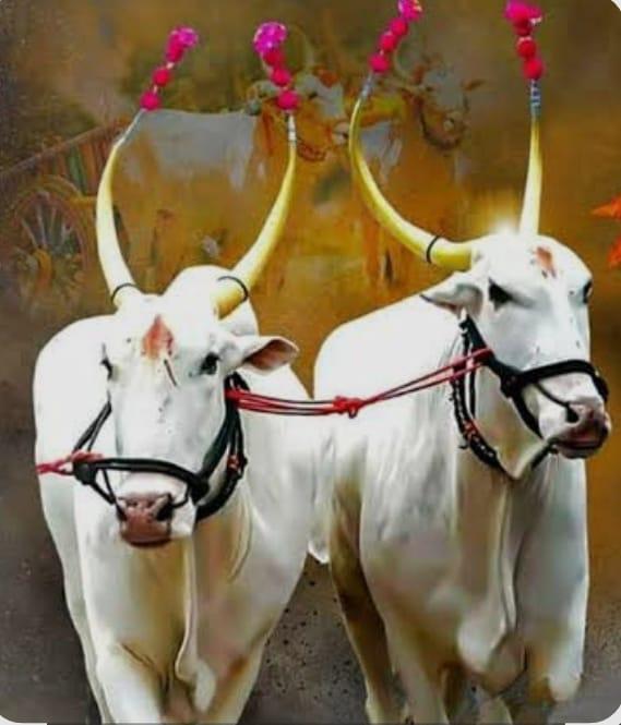 You are currently viewing जगाच्या पोशिंद्याचा मित्र