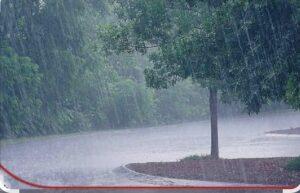 Read more about the article घन घन माला नभी दाटल्या