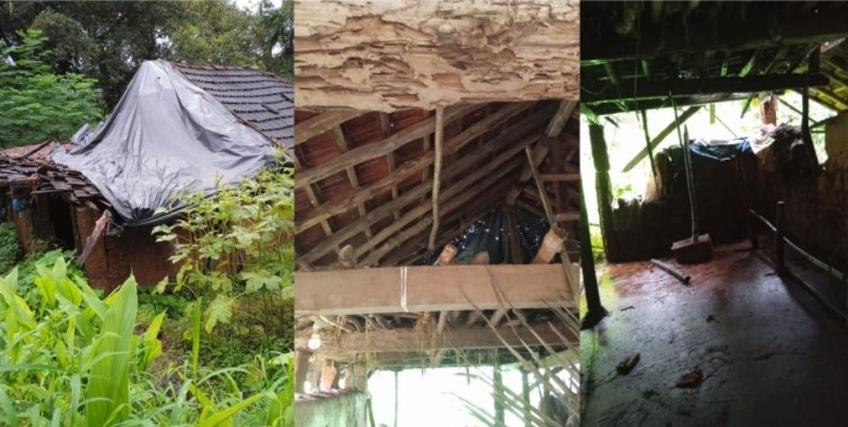 You are currently viewing देवगड तालुक्यात अतिवृष्टीचा तडाखा – गोठा, घरांची पडवी व माड कोसळून ५३,९०० रुपयांचे नुकसान