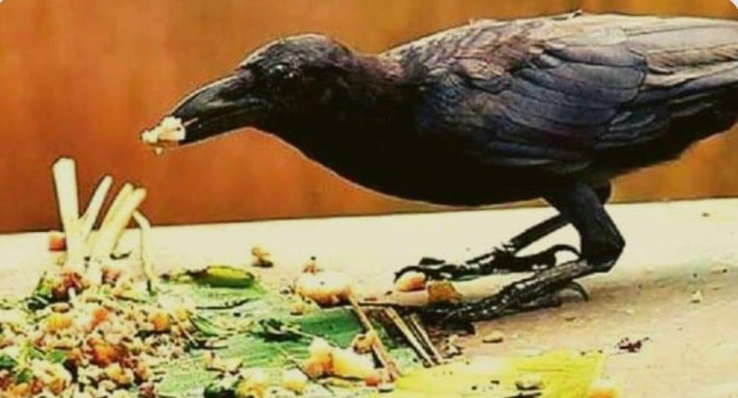 You are currently viewing म्हाळवस