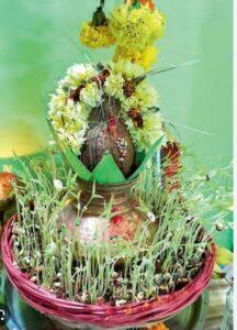 Read more about the article ||…नवदुर्गा…||