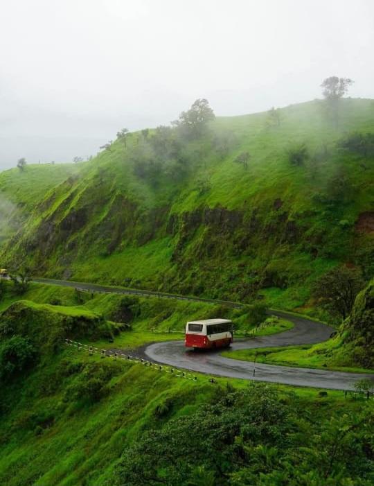 You are currently viewing निसर्गाचं वेड