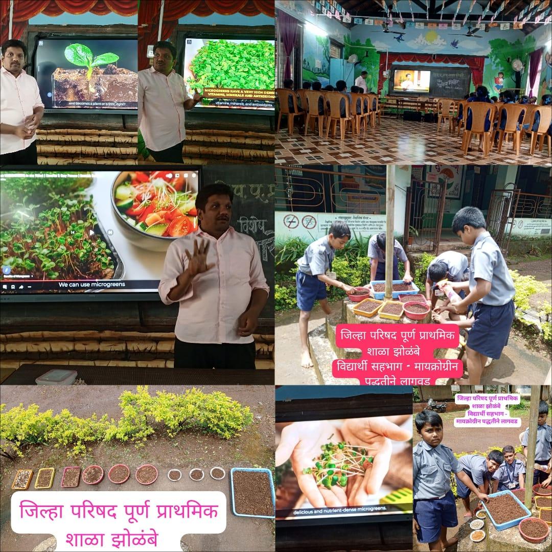 You are currently viewing मायक्रोग्रीन पद्धतीने भाजी लागवड मार्गदर्शन 