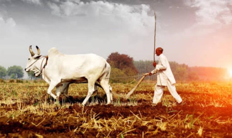 You are currently viewing शेतकरी जगला पाहिजे