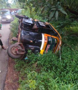 Read more about the article गवारेडा आडवा आल्याने रिक्षा पलटी – मातोंड – तळवडे रस्त्यावरील घटना