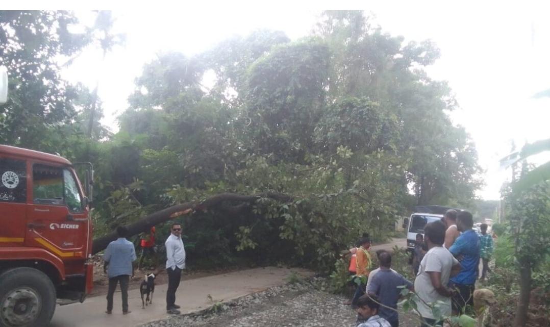 You are currently viewing बांदा-वाफोली मार्गावर झाड कोसळले