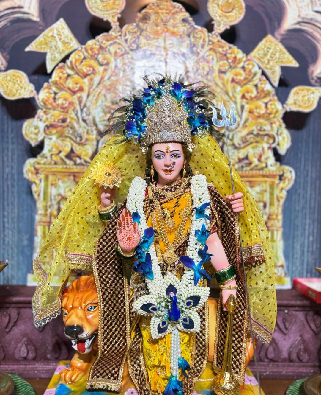 You are currently viewing “नमामि देवी दुर्गे”