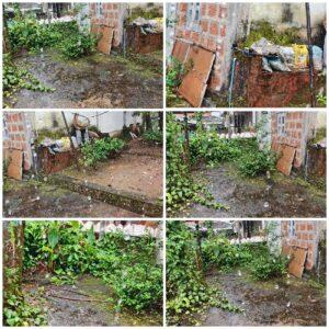 Read more about the article संततधार पावसाने सणासुदीची तयारी विस्कळीत,