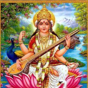 Read more about the article महासरस्वती