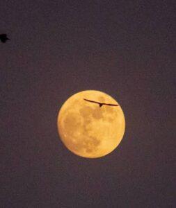 Read more about the article शारद पौर्णिमा..