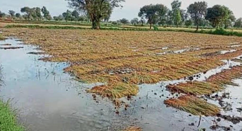 You are currently viewing पाव्सात शेती नको