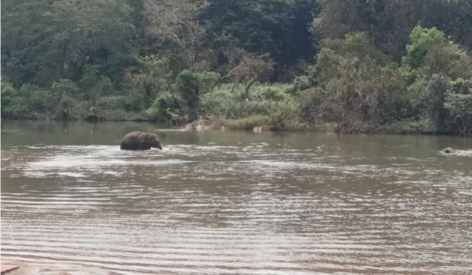 You are currently viewing तेरेखोल नदी पार करून ‘ओंकार’ वाफोलीत