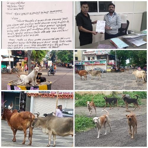 You are currently viewing सांगवी–पिंपळे गुरवमध्ये मोकाट कुत्रे व जनावरांचा उपद्रव;