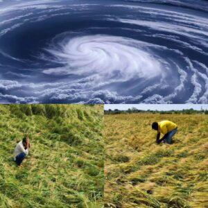 Read more about the article कशाला देता नावं वेगळी ?