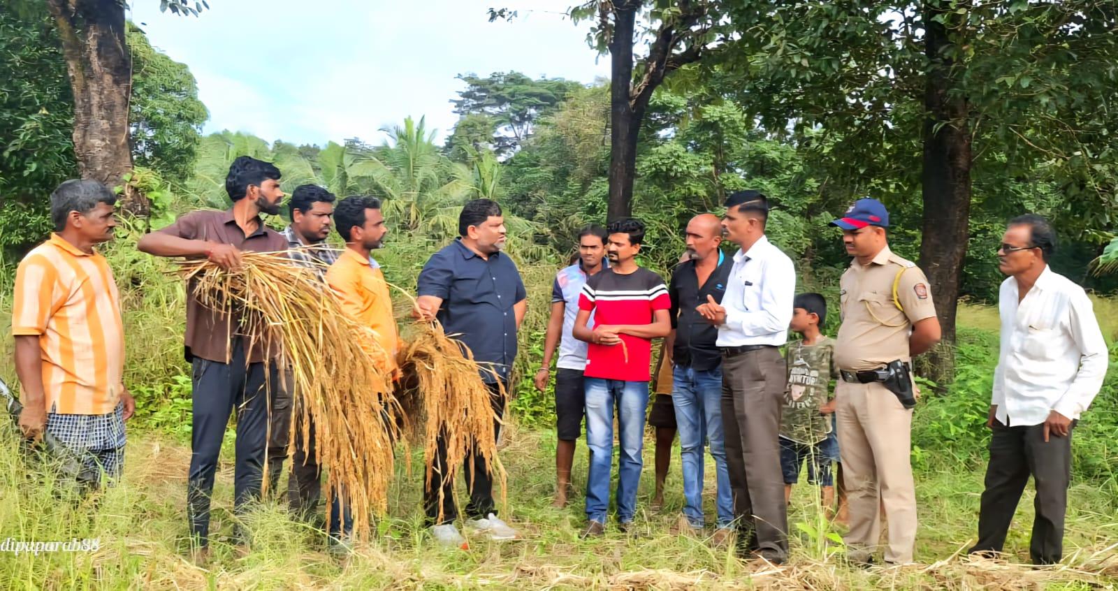 You are currently viewing सिंधुदुर्गातील शेतकऱ्यांचे अतोनात नुकसान; पंचनाम्याची वाट न बघता सरसकट नुकसान भरपाई जाहीर करा