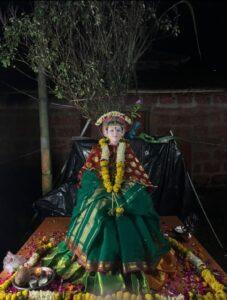 Read more about the article तुळशीचा लगीन