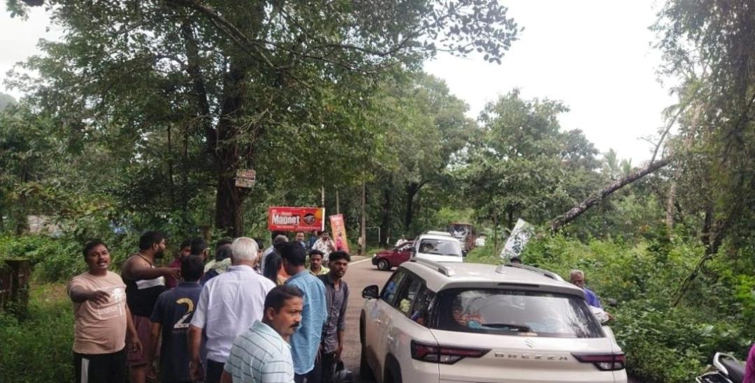 You are currently viewing कोलगाव येथे दारूच्या नशेत बेफाम कार