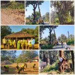 फोंडाघाट–देवगड–निपाणी रोड रुंदीकरणासाठी झाडतोड सुरू; एकेरी वाहतूक लागू