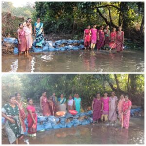 Read more about the article हुमरमळा (वालावल) गावातील महीलांनी पुढाकार घेत बांधले बंधारे!