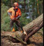 मला तोडू नका