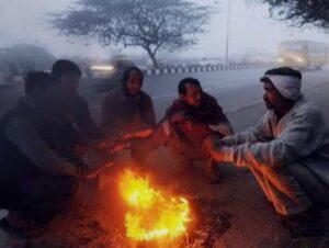 Read more about the article गुलाबी थंडीचा नजारा