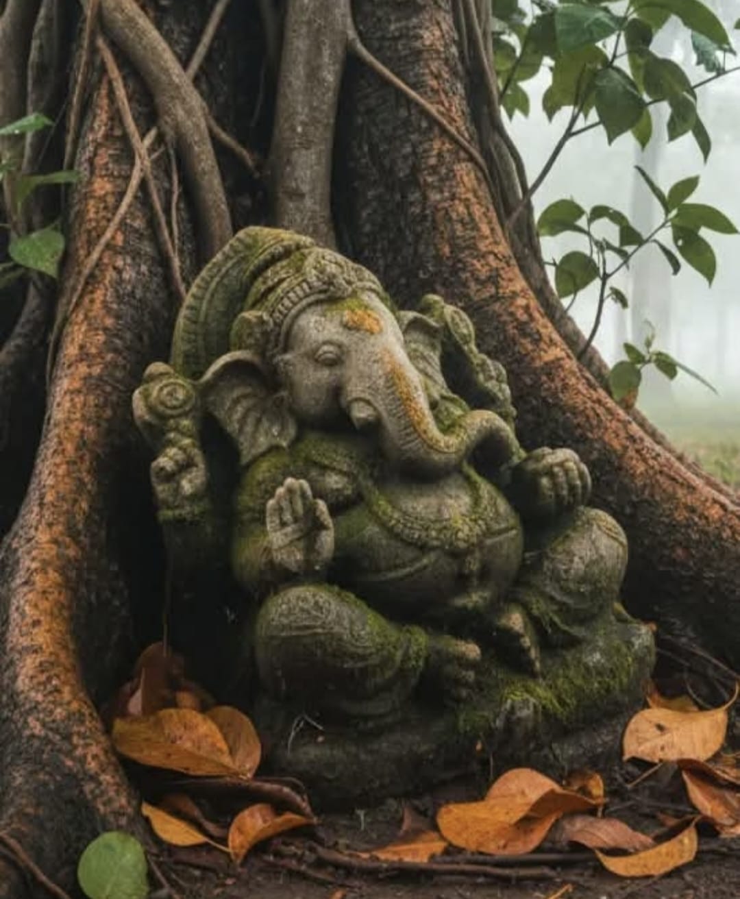 You are currently viewing मला कुठेही टाकून देता