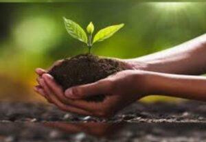 Read more about the article कृषि विषयक महत्वाचा लेख 