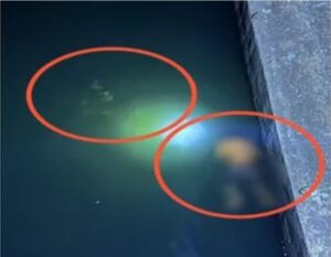 Read more about the article तरंदळे तलावात युवक-युवतीचा मृतदेह