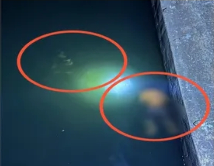 You are currently viewing तरंदळे तलावात युवक-युवतीचा मृतदेह