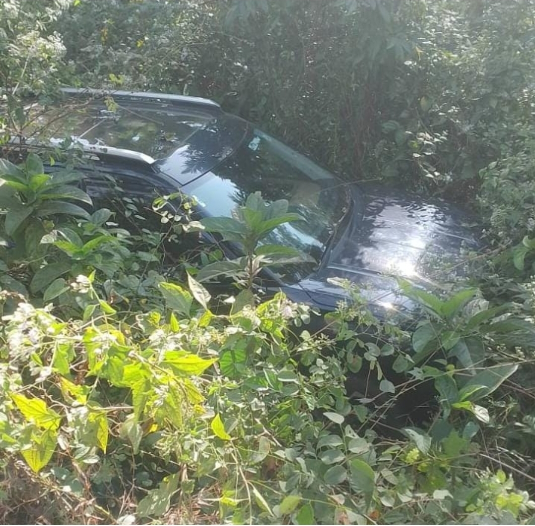 You are currently viewing दोडामार्गात गोव्याला जाणाऱ्या पर्यटकांच्या कारचा अपघात