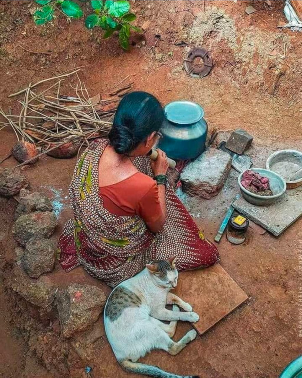 You are currently viewing नको वाजवायला कुणी शिट्टी