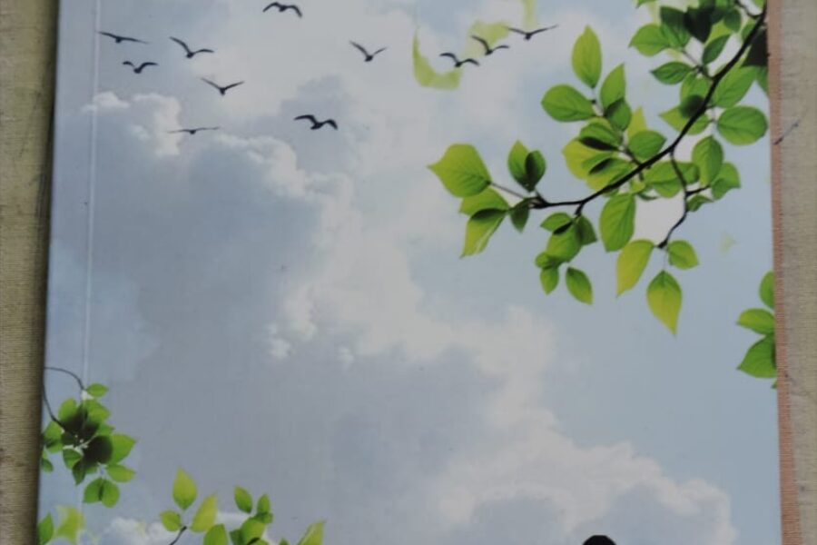 स्मृतीपालवी