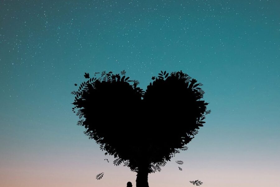 सेल्फ लव्ह..