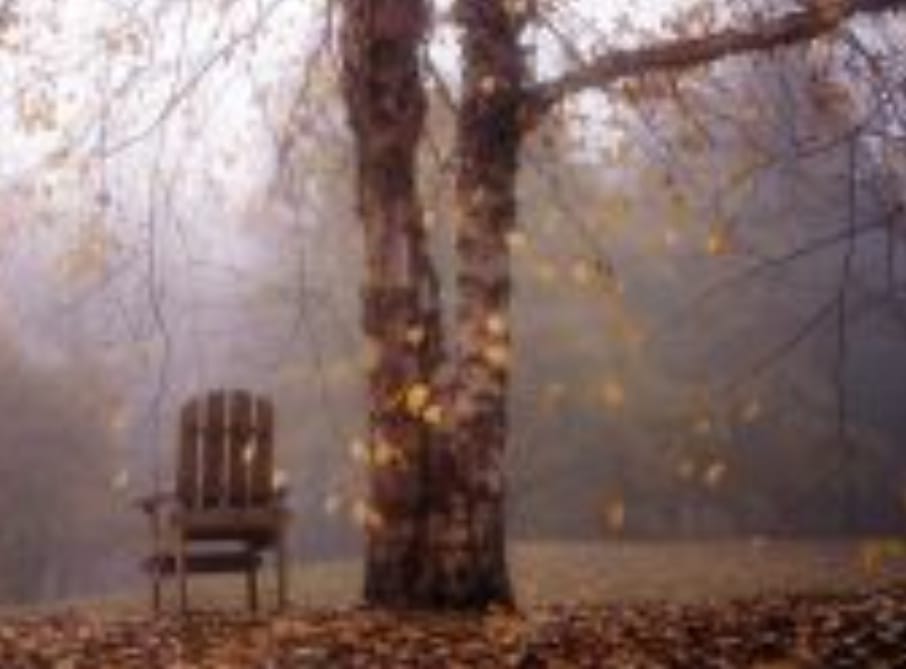 You are currently viewing शिशिर संपला