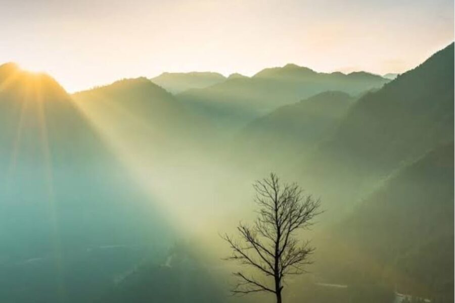 सरला शिशिर