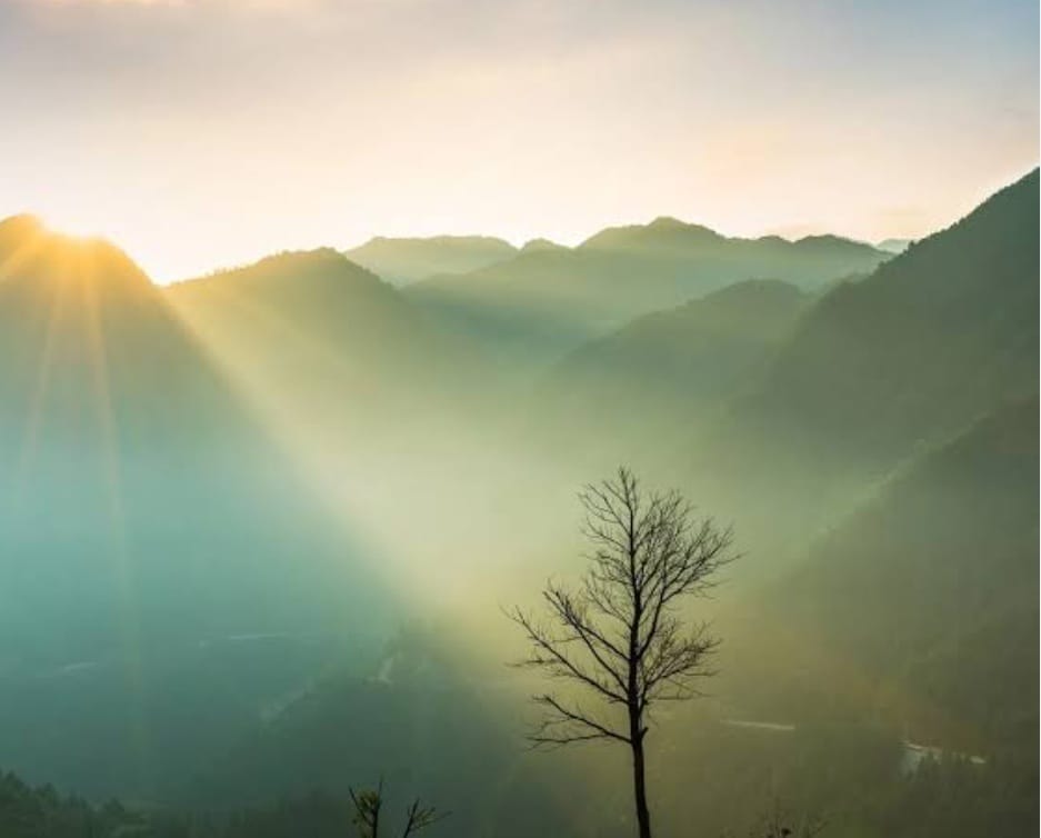 You are currently viewing सरला शिशिर