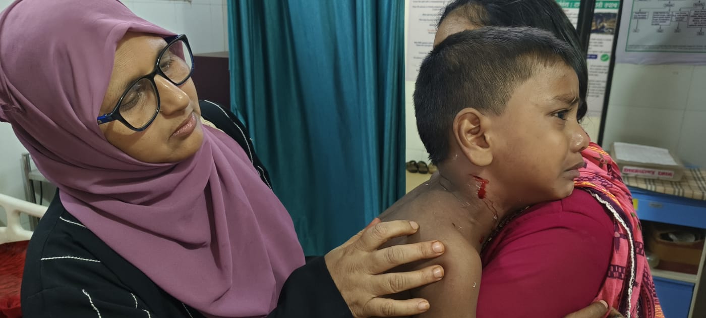 You are currently viewing सावंतवाडीत भटक्या कुत्र्यांचा हल्ला