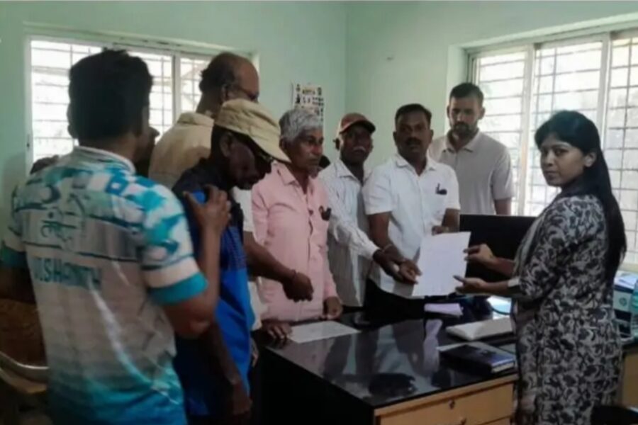 आंबोलीत वन्यप्राण्यांचा धुमाकूळ; शेतकऱ्यांची पिके उद्ध्वस्त