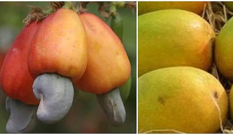 You are currently viewing कणकवलीत ‘खरेदीदार-विक्रेता’ भव्य संमेलन; स्थानिक उत्पादनांना मिळणार मोठी बाजारपेठ