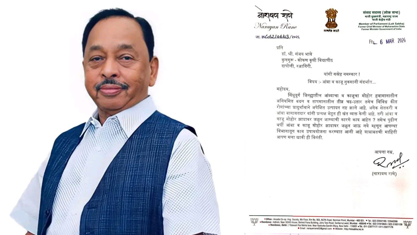 You are currently viewing आंबा – काजू मोहोर नुकसानीबाबत खासदार नारायण राणे यांचे कुलगुरूंना पत्र