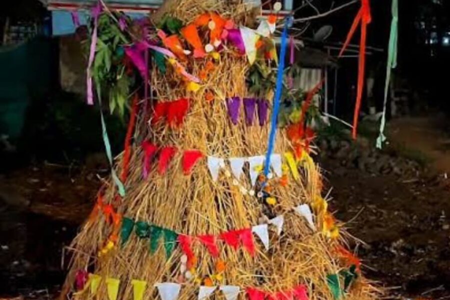 फाल्गुनातला शिमगा