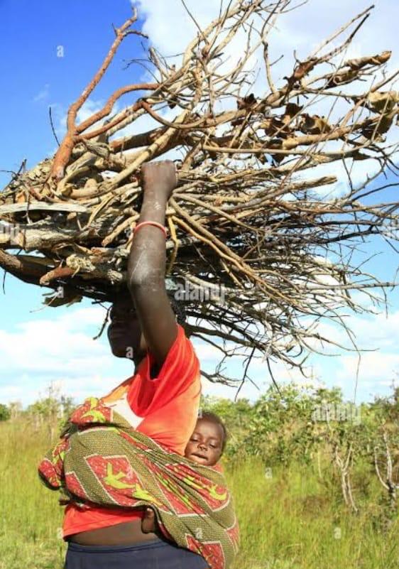 You are currently viewing मायलेकरू..