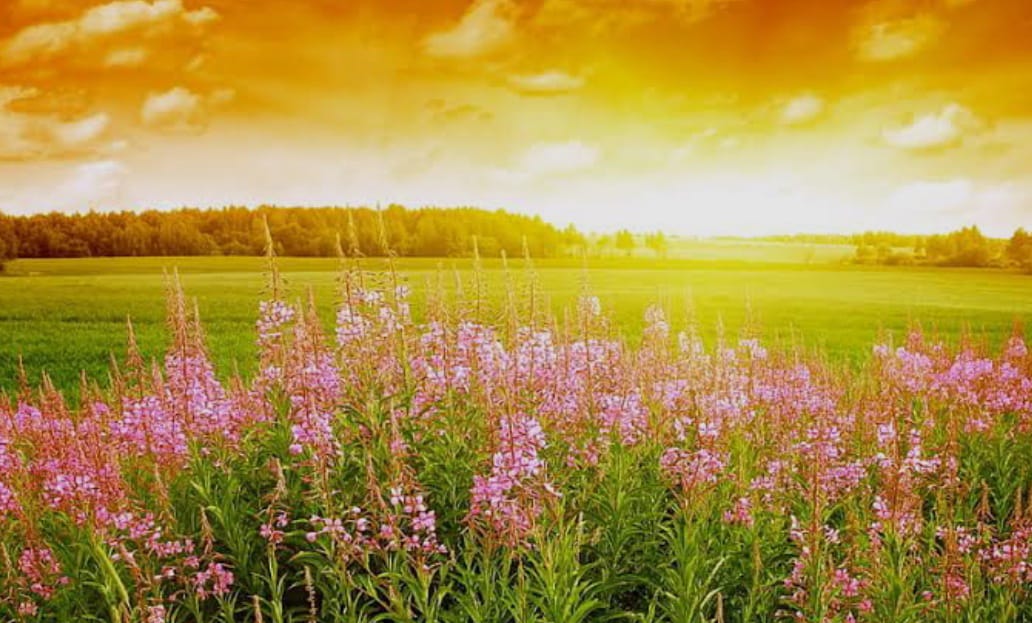 You are currently viewing विषय–ऋतु वसंत