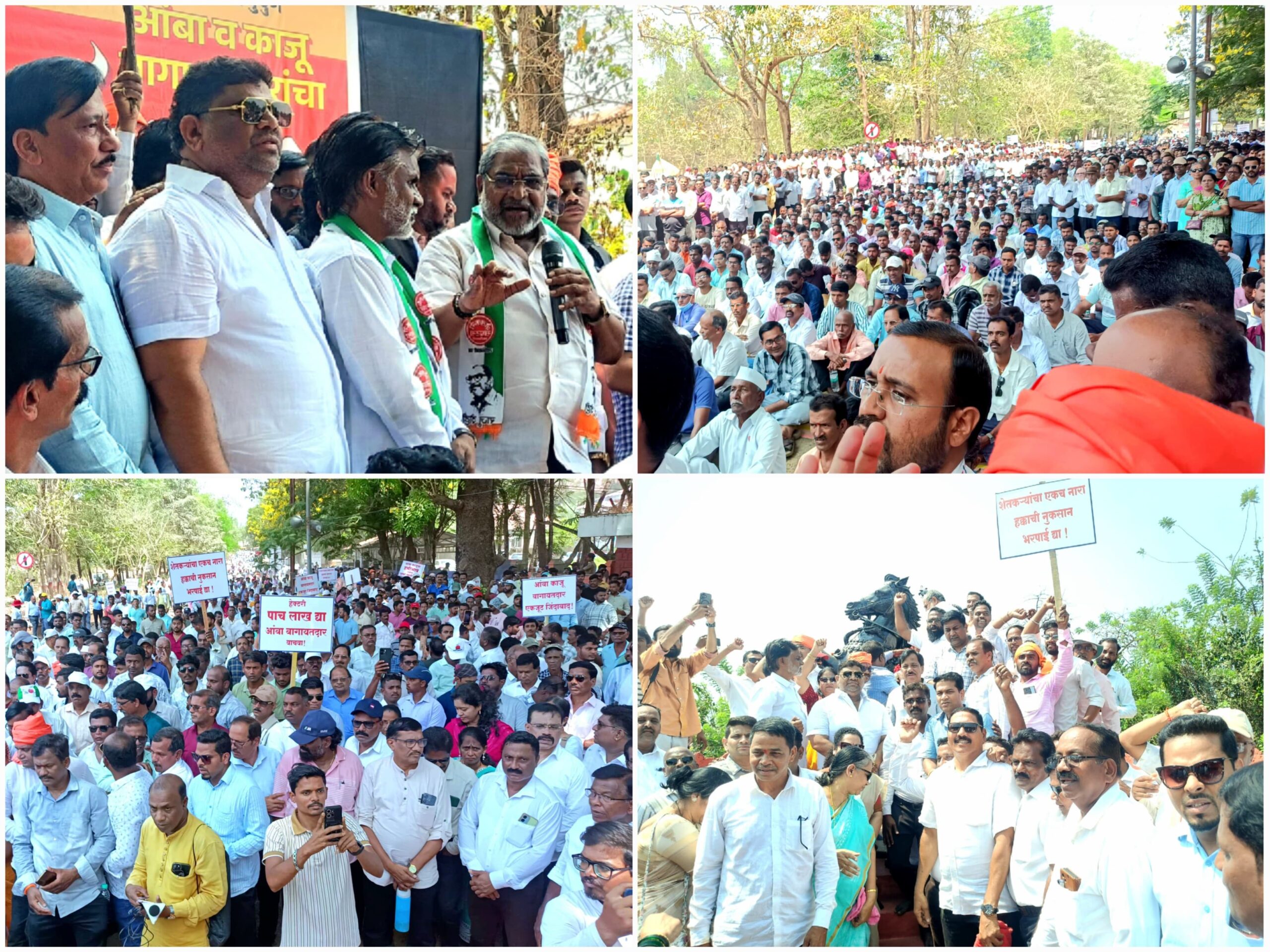 You are currently viewing हजारो आंबा,काजू शेतकऱ्यांनी जिल्हाधिकारी कार्यालयावर काढला भव्य आक्रोश मोर्चा