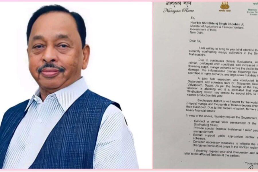 सिंधुदुर्गातील आंबा पिकाचे मोठे नुकसान; शेतकऱ्यांना मदतीसाठी नारायण राणे यांचे केंद्रीय कृषिमंत्र्यांना पत्र