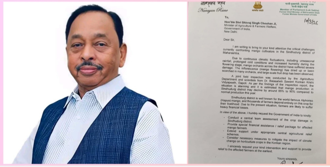 You are currently viewing सिंधुदुर्गातील आंबा पिकाचे मोठे नुकसान; शेतकऱ्यांना मदतीसाठी नारायण राणे यांचे केंद्रीय कृषिमंत्र्यांना पत्र