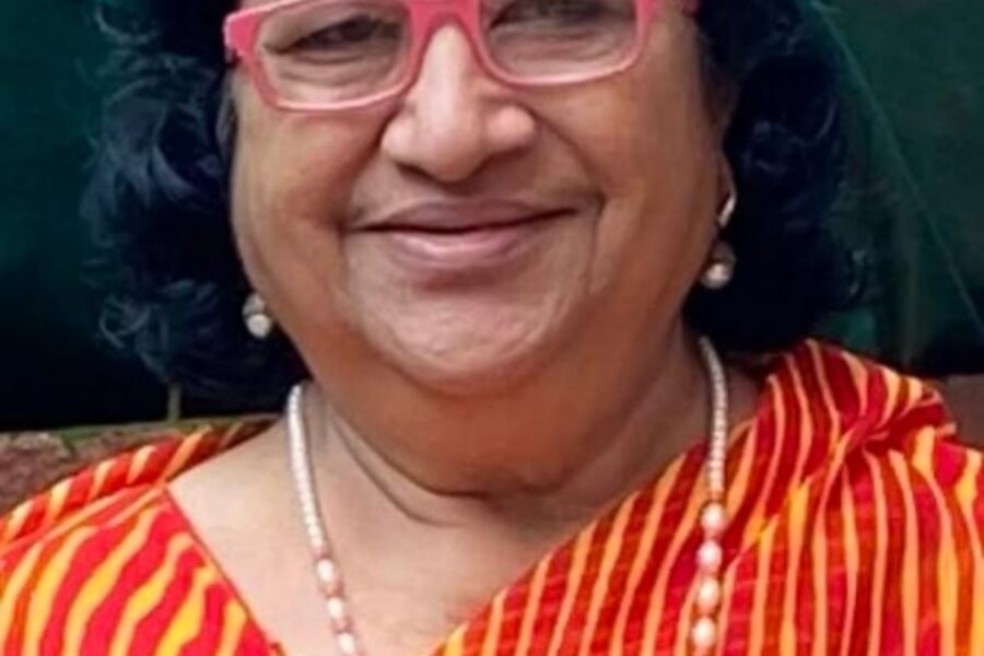 खिडकीतून…