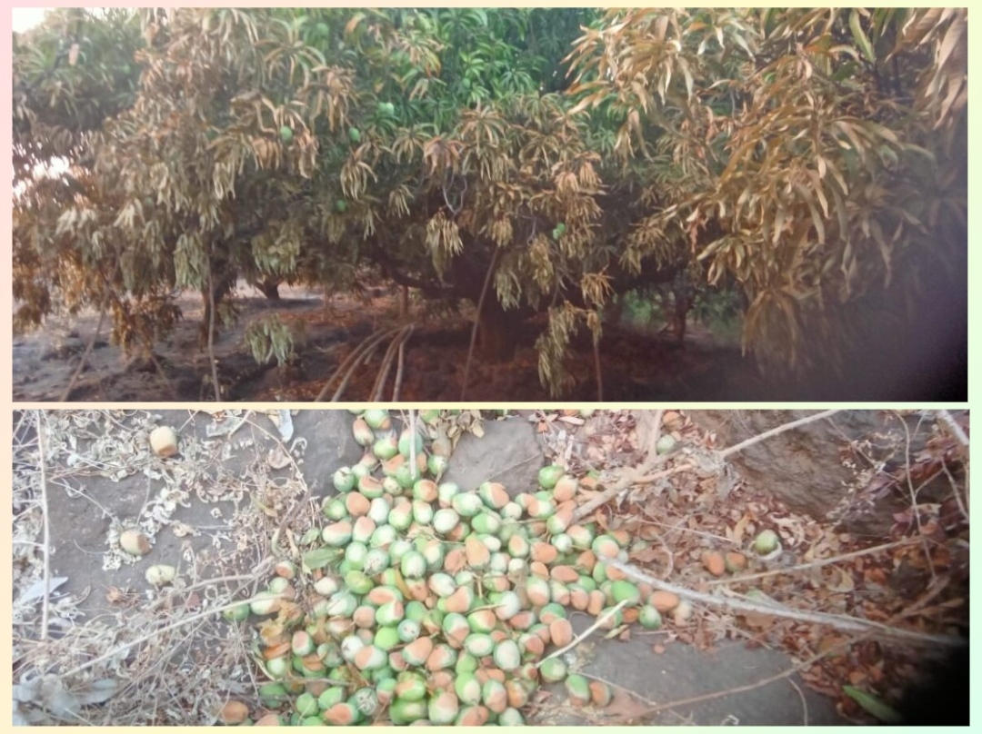 You are currently viewing 