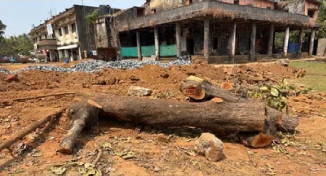 You are currently viewing सावंतवाडी जिमखाना मैदानातील झाडांची कत्तल