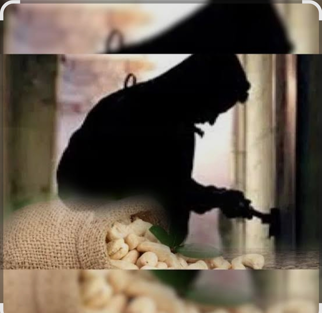 You are currently viewing कोंडये येथे २ टन काजू बी चोरी; तब्बल ३.२० लाखांचा ऐवज लंपास